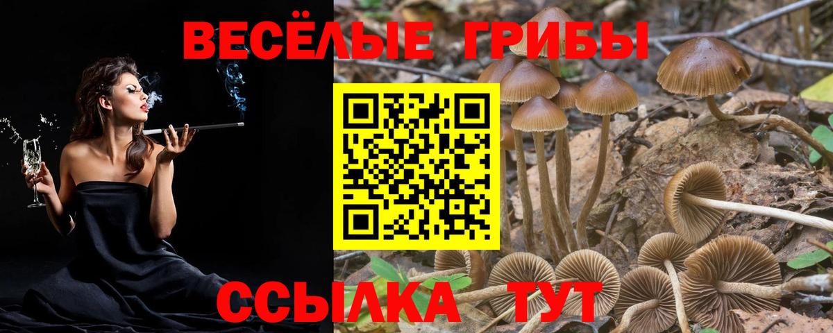 Новоуральск  цены наркотик  Вход с VPN  Псилоцибиновые грибы мицелий 